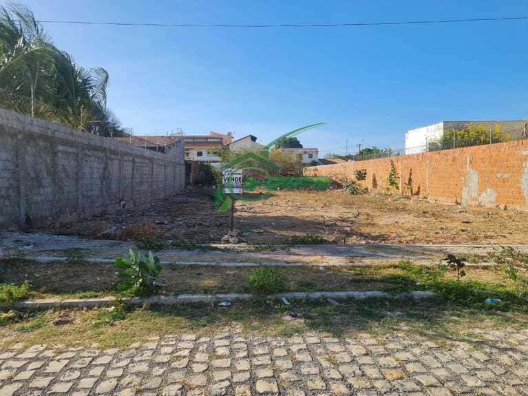 WhatsApp Image 2025-11-27 at 14.31.03 (1)